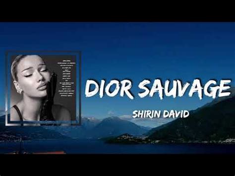 dior sauvage shirin lyrics|Shirin David .